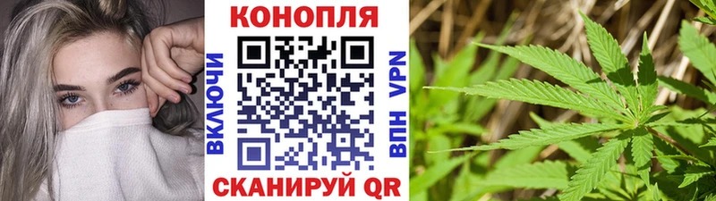 МАРИХУАНА индика mega сайт Губаха купить наркотики сайты